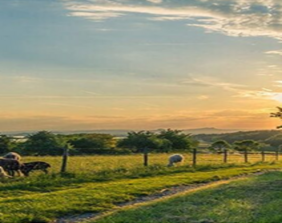 Evaluation of fertilizer potential